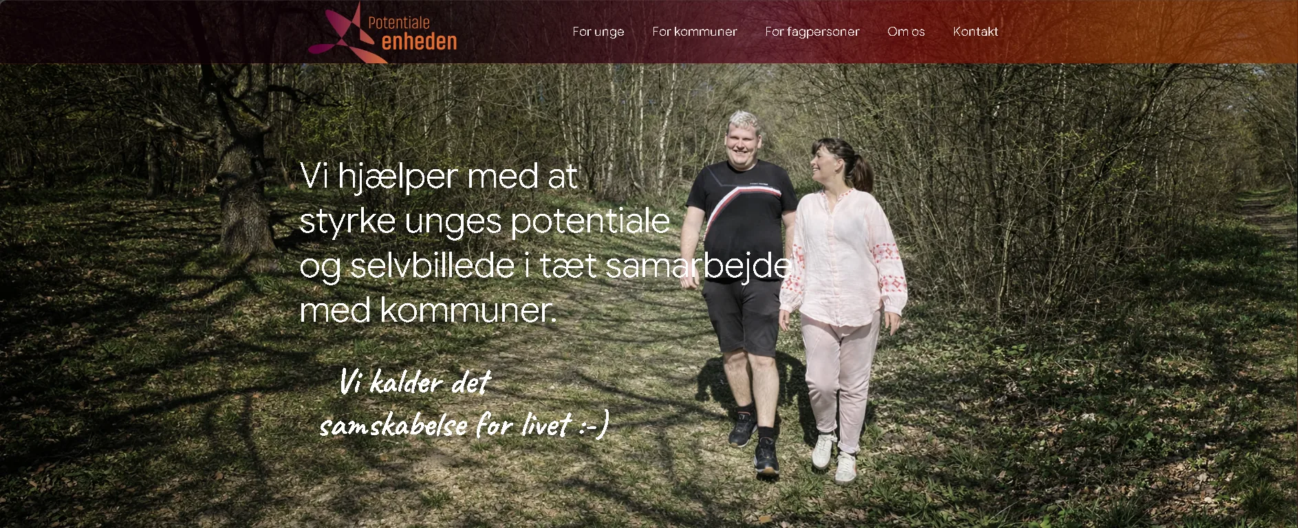 Potentialeenheden hero screenshot